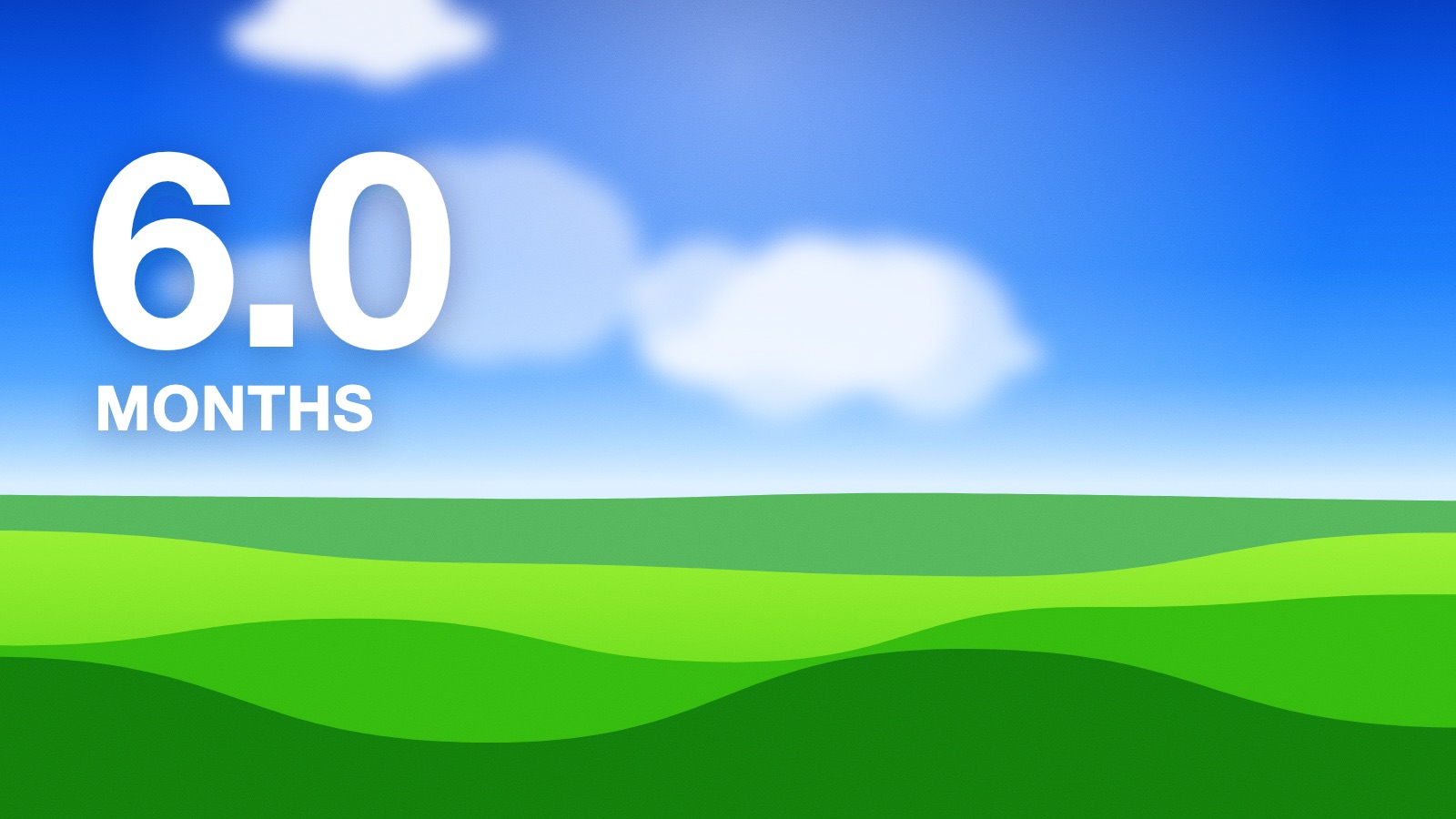 6.0 MONTHS in white over a bright midday sky, soft clouds and a green field.